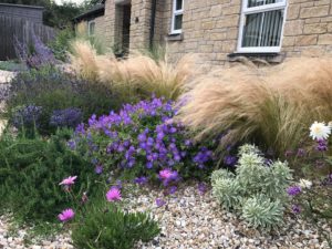 Truro Front Garden | Landscapes of Distinction